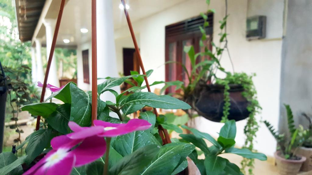 Kassapa Home Stay Сигирия Екстериор снимка